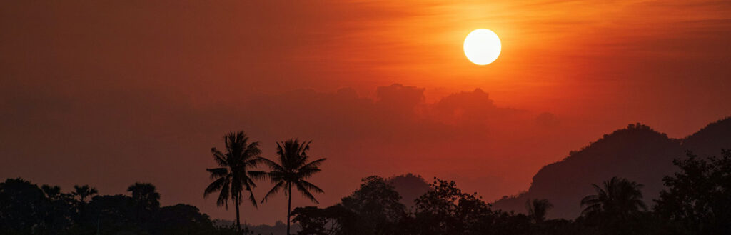 Sunset over tropical landscape with silhouette palm trees.